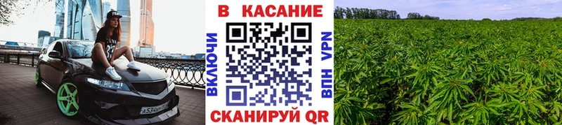 Купить наркотики сайты Верхоянск Псилоцибиновые грибы A PVP Меф мяу мяу COCAIN Марихуана