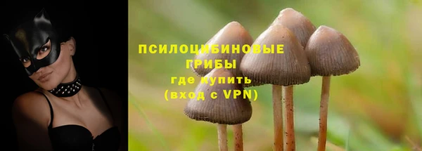 индика Алексеевка