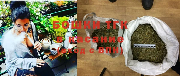 индика Алексеевка