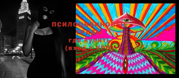 индика Алексеевка