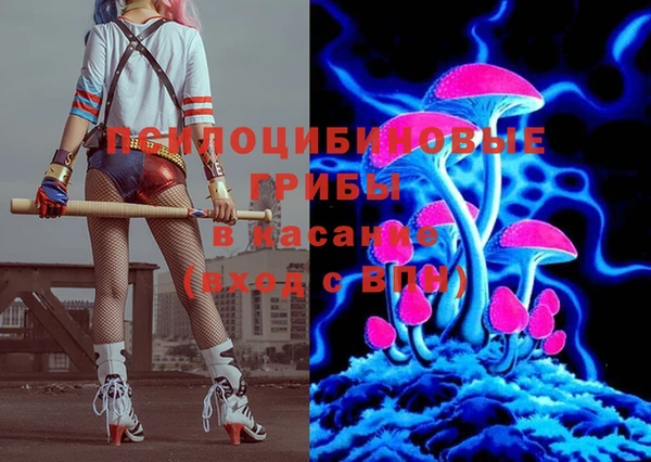 прущая мука Алзамай